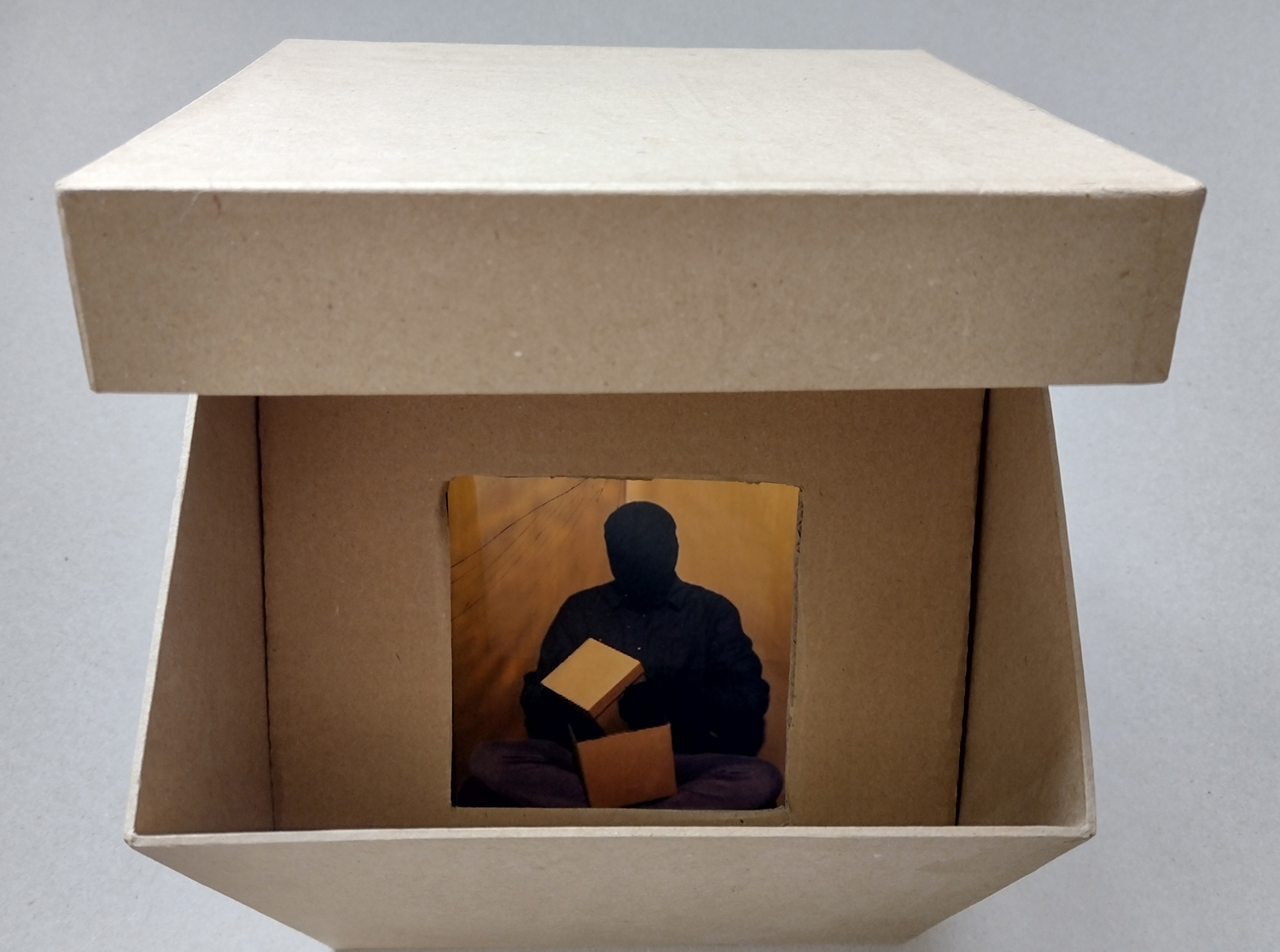 Meditation of a meditator in a box holding a box in a box.